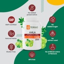 krishna-s-herbal-ayurveda-amla-phyllanth-61KrfKgBe4L.jpg