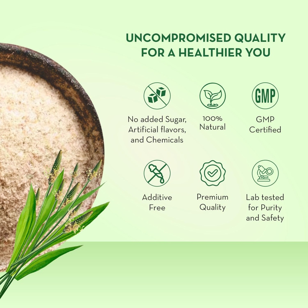 baidyanath-asli-ayurved-isabgol-psyllium-71gcMT1fHnL.jpg