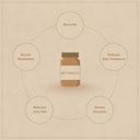 ayurveda-metaballs-ayurvedic-fat-burner--51o-tiVySpL.jpg