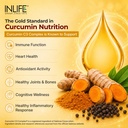 inlife-curcumin-c3-complex-500mg-piperin-81uKM9esUSL.jpg