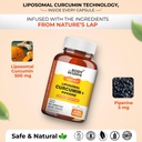 the-body-reserve-liposomal-curcumin-caps-71V0AlaQ9GL.jpg