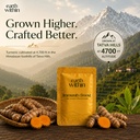 immunity-boost-turmeric-curcumin-drink-m-71AGok2GEyL.jpg