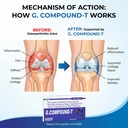 g-compound-t-joint-health-supplement-dua-71DvwynrJ8L.jpg