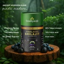 himalayan-shilajit-gummies-4500mg-with-f-610F33mDWoL.jpg