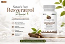leewell-japanese-knotweed-root-extract-5-71gmJozLQXL.jpg