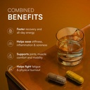 rasayanam-curcumin-plant-based-vitamin-b-61gXJpK-+ZL.jpg
