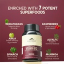 rasayanam-curcumin-plant-based-vitamin-b-71d1eAKt3wL.jpg