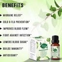 maxener-wellness-tulsi-with-curcumin-dro-61-qSDl0m7L.jpg