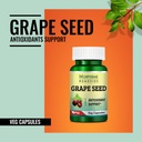 morpheme-remedies-grape-seed-extract-500-61-hjnjKkqL.jpg