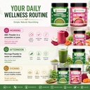 seedpure-abc-moringa-malt-health-drink-m-711Sb56O+9L.jpg