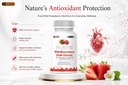 leewell-wild-strawberry-fruit-extract-po-71SvD4QyDxL.jpg