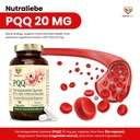 pqq-coenzyme-q10-ubiquinol-200mg-bundle--61CXcBjB2AL.jpg