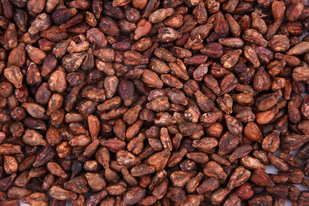 parshwa-grape-seed-angur-beej-grape-seed-81Se0Y1V1xL.jpg
