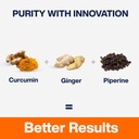 myfitfuel-curcumin-95-curcuminoids-with--610wZHsmEnS.jpg