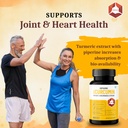 anti-inflammatory-supplement-curcumin-wi-71fq5wc18LL.jpg