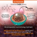 microencapsulated-coenzyme-q10-with-omeg-81fqdVq4CSL.jpg