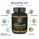 ayurvedic-curcumin-capsule-650mg-with-95-71+vN6StoML.jpg