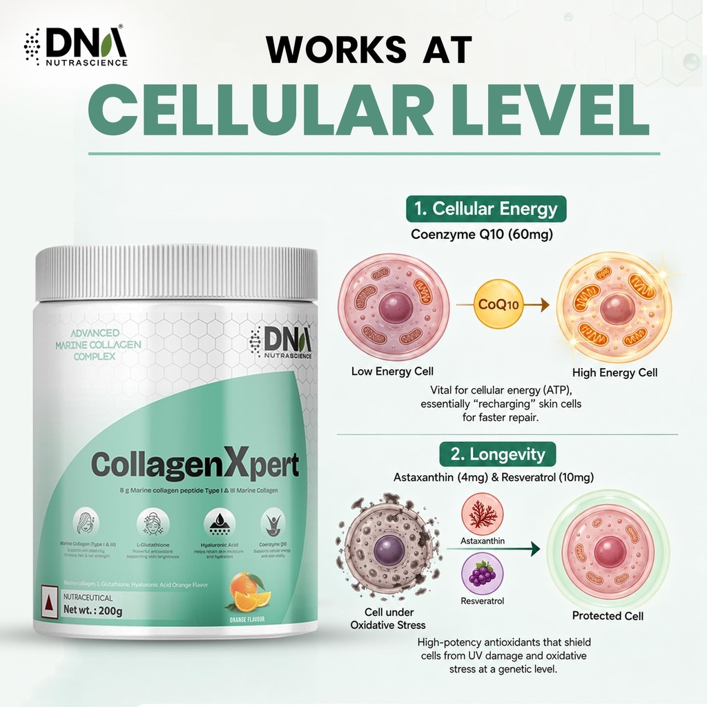 collagenxpert-marine-collagen-powder-wit-716O2TNKzsL.jpg