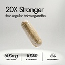 kapiva-ksm-66-ashwagandha-500mg-clinical-61mxFi7sQtL.jpg