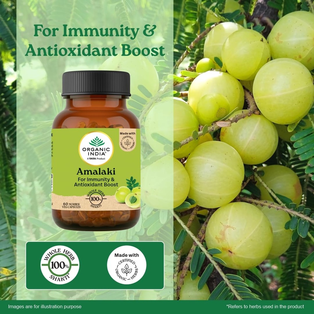 a-tata-product-organic-india-amalaki-60--71Ow2qFn-gL.jpg