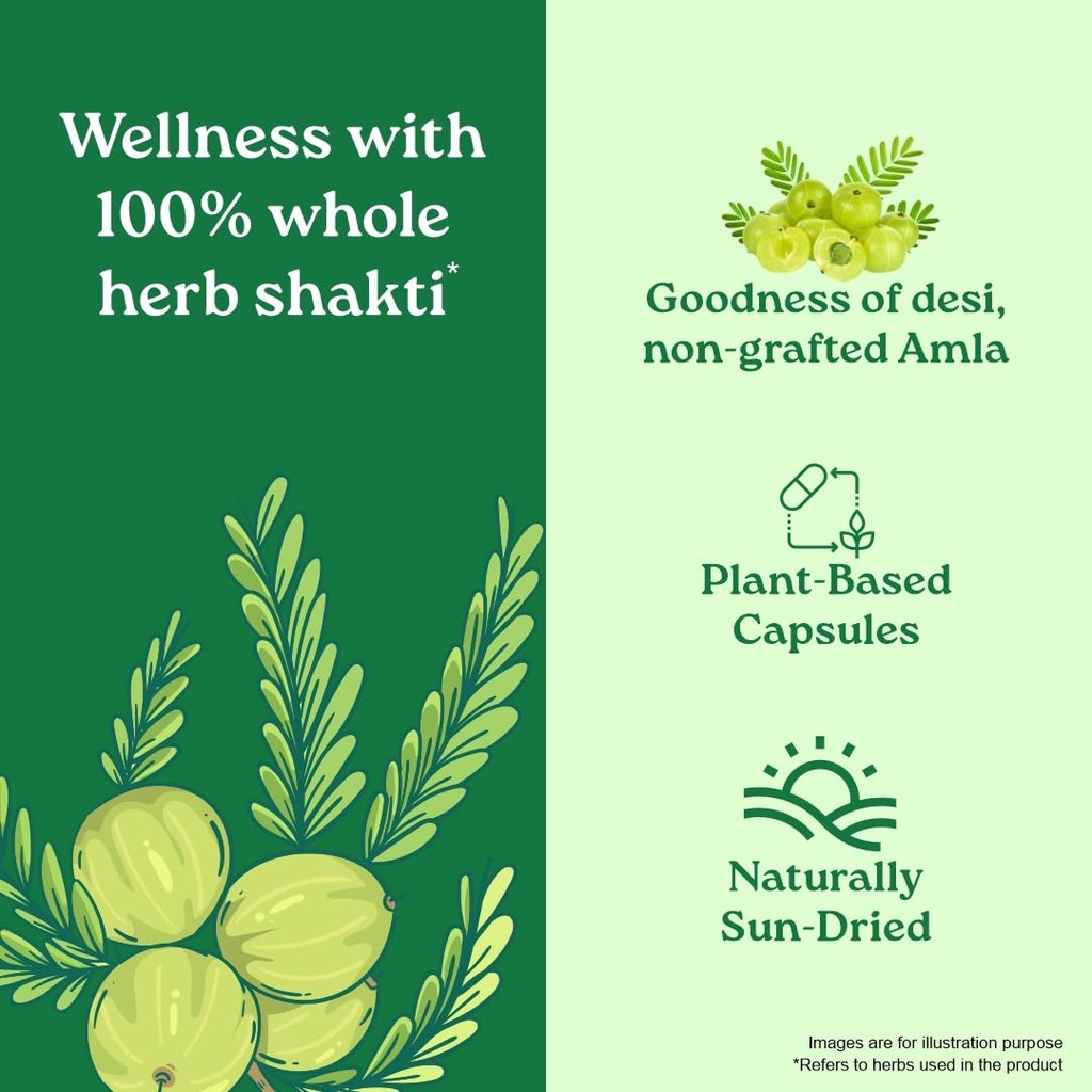 a-tata-product-organic-india-amalaki-60--61ItHow3ufL.jpg