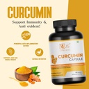 curcumin-with-black-pepper-turmeric-it-h-71PsOjiMMKL.jpg