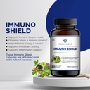 immune-max-blend-immunoshield-curcumin-c-81Zs6qXQOoL.jpg