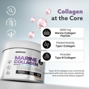 marine-collagen-powder-for-glowing-skin--81rteFVLLML.jpg