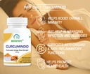 curcuminoid-purified-turmeric-root-extra-81MFBd2YW8L.jpg