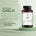 anti-inflammation-blend-curcumin-garlic--71MBwFHMqQL.jpg