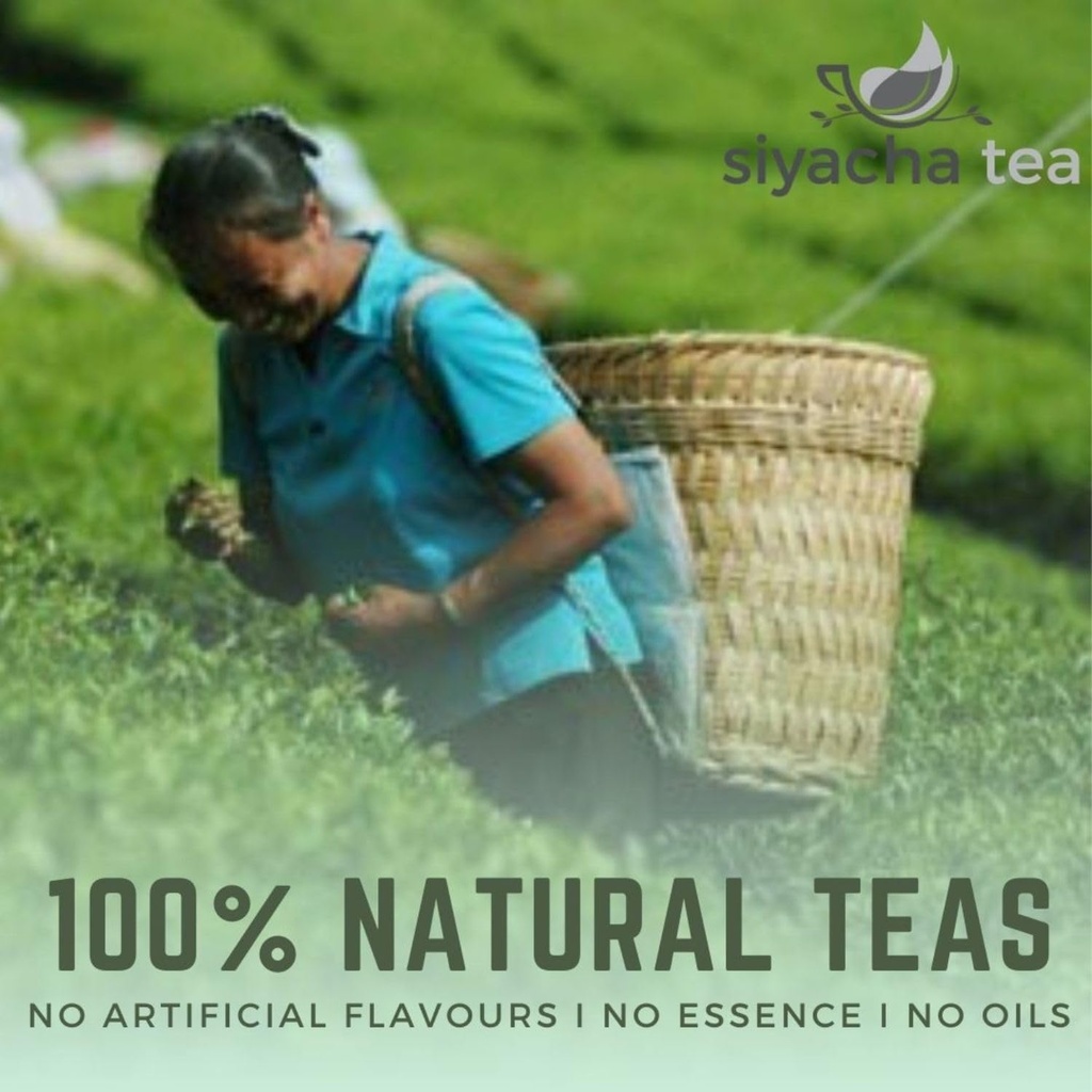 siyacha-tea-soothing-tulsi-green-antioxi-717tOPGzm7L.jpg