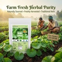 neotea-gotu-kola-powder-vallarai-centell-71uDQh-CKKL.jpg