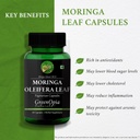 iron-folic-acid-tablets-moringa-oleifera-61k3vWAxvuL.jpg