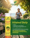 herbals-vitaleaf-daily-effervescent-tabl-71FaVlfOjQL.jpg
