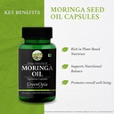 iron-folic-acid-tablets-moringa-seed-oil-61D7eLvryYL.jpg