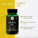 flax-seed-oil-garlic-wellness-daily-vita-61aTdTFsZwL.jpg