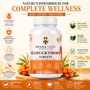 seabuckthorn-tablets-120-tablets-rich-in-71GBBsdpZtL.jpg