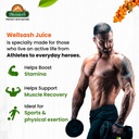 biosash-himalayan-wellsash-sea-buckthorn-71XA4wSsrXL.jpg