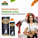 biosash-himalayan-wellsash-sea-buckthorn-71e21yh5YQL.jpg