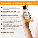 baton-tea-himalayan-sea-buckthorn-pulp-j-61dX47Buu1L.jpg