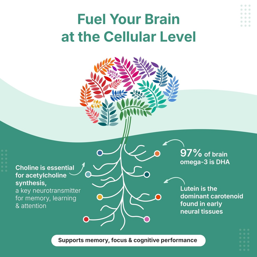 veg-omega-vegan-algal-dha-triglyceride-f-81aRuroq6oL.jpg