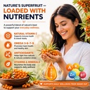 arthyum-sea-buckthorn-juice-pulp-concent-71WyaXAXeLL.jpg