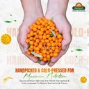 biosash-sea-buckthorn-immunosash-juice-2-71GLjQqRATL.jpg