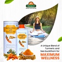 biosash-sea-buckthorn-juice-with-turmeri-71jwnlW3rFL.jpg