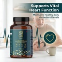 frank-o-fish-oil-omega-3-softgel-60-caps-61Qtzy7yGjL.jpg
