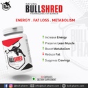 bullshred-thermogenic-fat-burner-regulat-81TQfCFaw9L.jpg