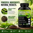 green-tea-extract-60-capsules-for-weight-71bf0YUMnFL.jpg