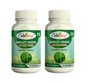 organic-barley-grass-hardeum-vulgare-60--81ze0A6oNCL.jpg