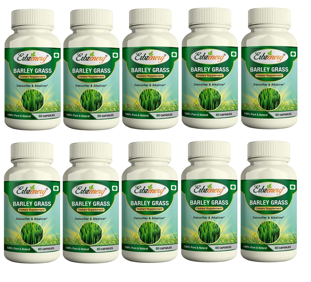 organic-barley-grass-hardeum-vulgare-60--91Luz8MDGVL.jpg