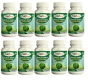 organic-barley-grass-hardeum-vulgare-60--91Luz8MDGVL.jpg